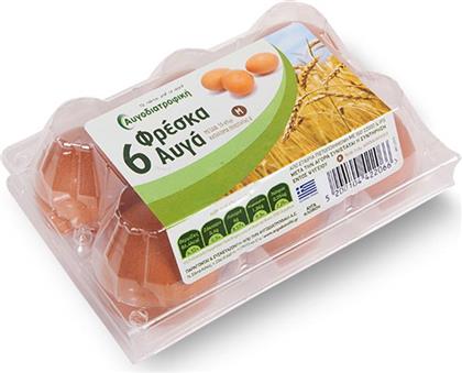 augodiatrofiki-auga-6ada-m-53-63gr